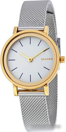 Наручные часы Skagen SKW2445