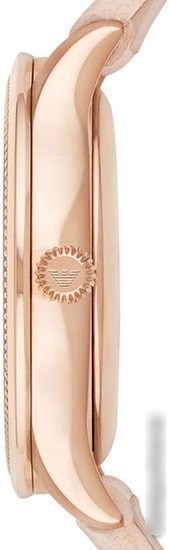 Наручные часы Emporio Armani AR1913