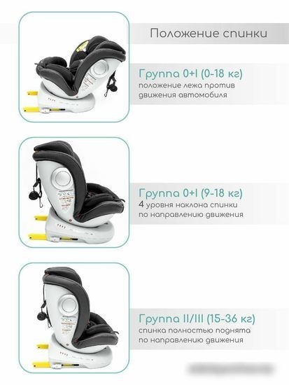 Детское автокресло Amarobaby Champion Isofix AMARO-2008CH-Ch (черный)