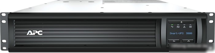Источник бесперебойного питания APC Smart-UPS 3000 ВА (с платой сетевого управления)