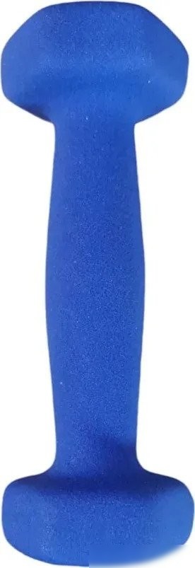 Гантель ZEZ Sport Виниловая 0.5kg-N-С