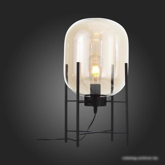Торшер ST Luce Burasca SL1050.505.01