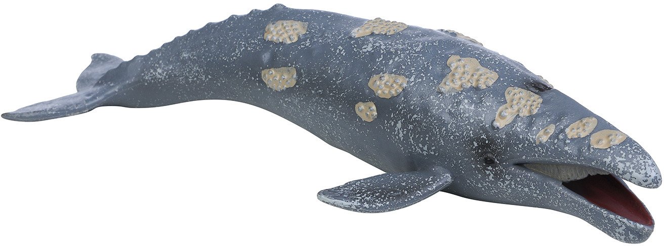 Фигурка Masai Mara Мир морских животных. Серый кит MM213-302