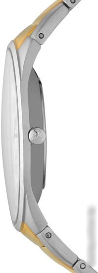 Наручные часы Skagen SKW6060