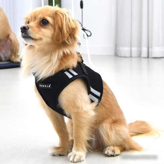 Шлейка-жилетка Puppia Soft PAUA-HB1828-BK-L (черный)