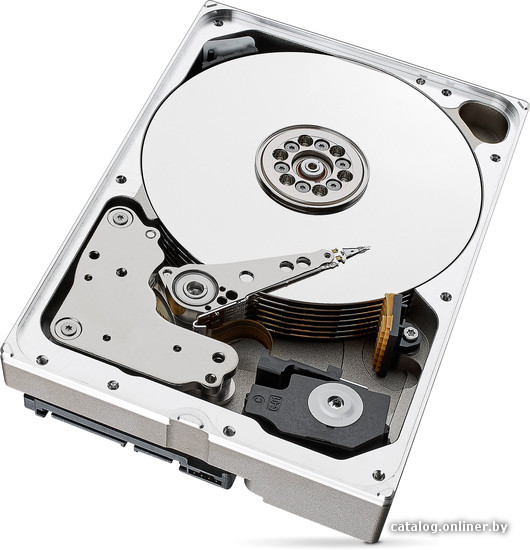 Жесткий диск Seagate Skyhawk 10TB [ST10000VX0004]