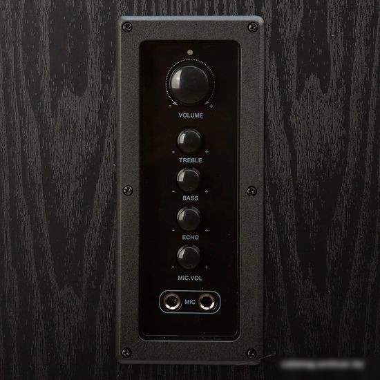Акустика Eltronic 20-82 Home Sound (черный)