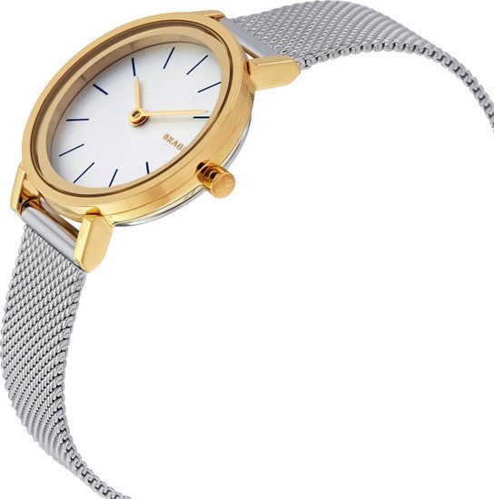 Наручные часы Skagen SKW2445