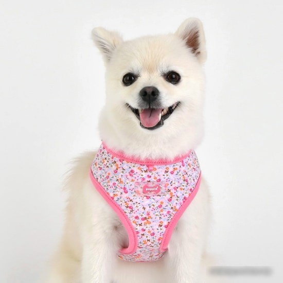 Шлейка Puppia Wildflower PAUA-HA1826-PK-XL (розовый)