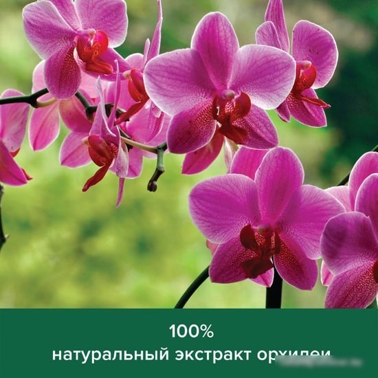 Косметика по уходу за телом Palmolive Мыло жидкое Натурэль Роскошная мягкость Черная орхидея 300 мл