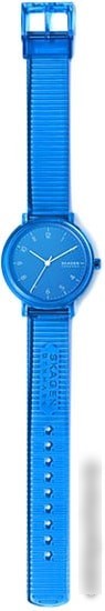 Наручные часы Skagen SKW2855