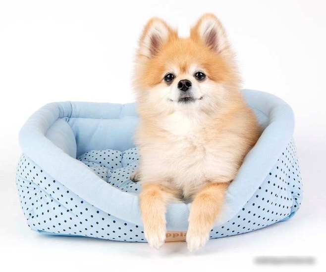 Лежак Puppia Cozy Dot OASA-AU5983-BL-FR (голубой_x000D_)
