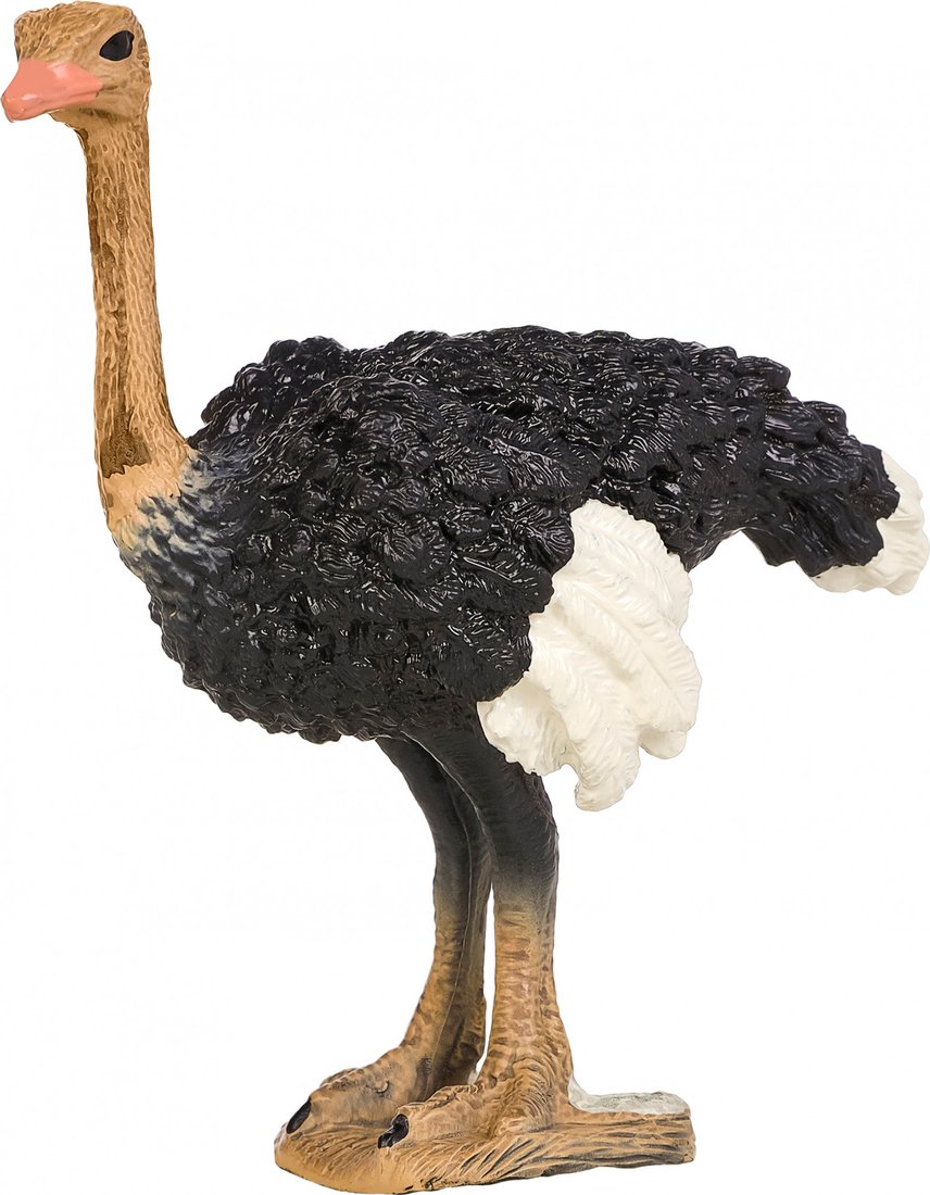 Фигурка Masai Mara Мир диких животных. Птица страус MM211-157