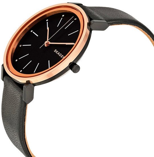Наручные часы Skagen SKW2490