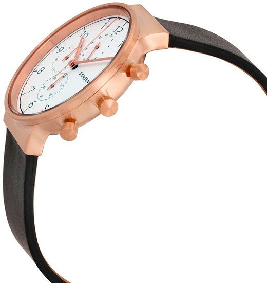 Наручные часы Skagen SKW6371