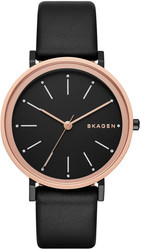Наручные часы Skagen SKW2490