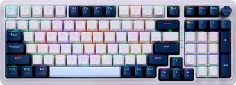 Клавиатура Redragon Eisa Pro (Outemu Brown)