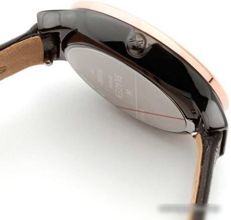 Наручные часы Skagen SKW2490