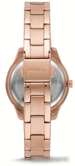 Наручные часы Fossil Stella ES5136