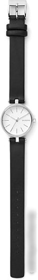 Наручные часы Skagen SKW2639