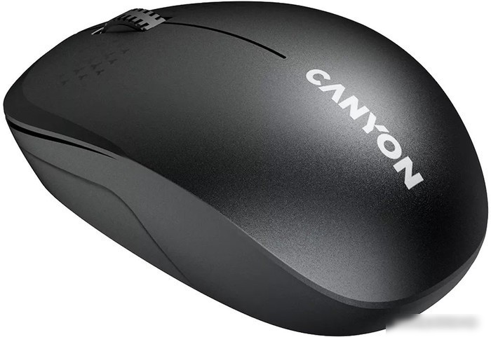 Мышь Canyon MW-04 (черный)