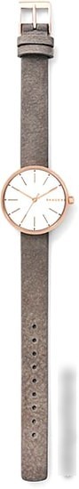 Наручные часы Skagen SKW2644