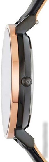 Наручные часы Skagen SKW2490