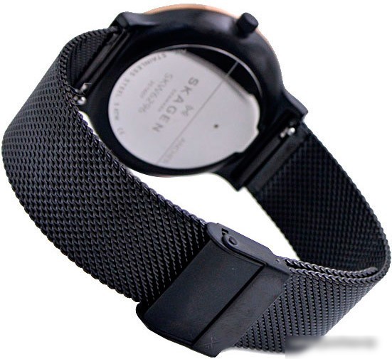 Наручные часы Skagen SKW6296