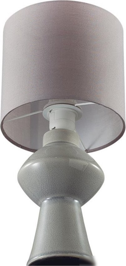 Настольная лампа Lumion Segi 8129/1T