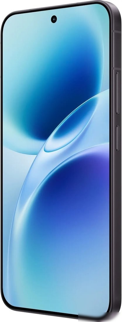 Телефон Vivo X300 FE V2537 12GB/256GB международная версия (графитовый черный)