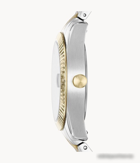 Наручные часы Fossil Scarlette Mini ES4949
