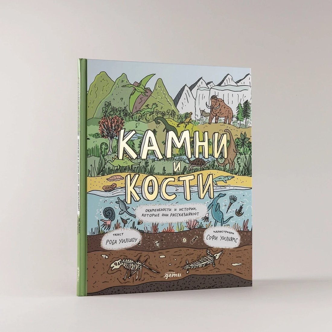 Книга издательства Альпина Паблишер. Камни и кости (Уилшоу Роб, Уильямс Софи)