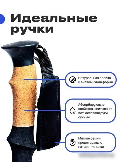 Палки для скандинавской ходьбы RoadLike Carbon 381223 (черный)