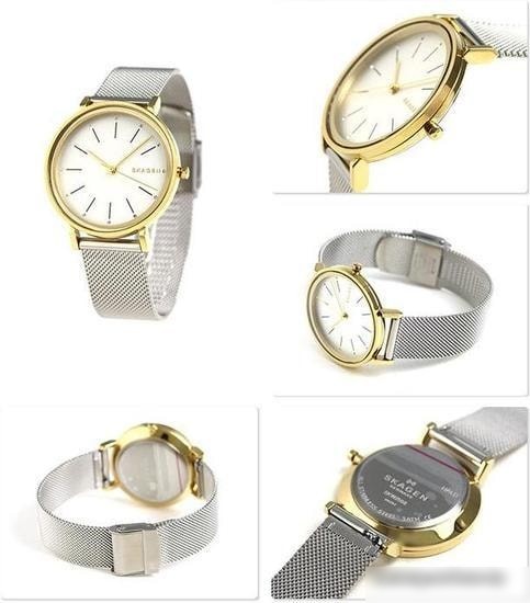 Наручные часы Skagen SKW2508