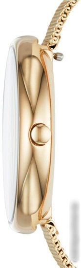 Наручные часы Skagen SKW2625
