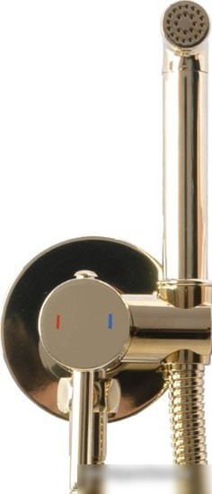 Гигиенический душ Rea Loop REA-B8979 (золотой)