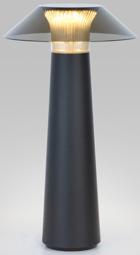 Настольная лампа Elektrostandard Future TL70200 (черный)