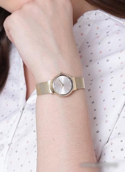 Наручные часы Skagen SKW2717