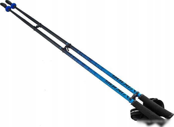 Треккинговые палки Viking Pro-Trainer 650/20/7879-0015 (р. 110, синий)