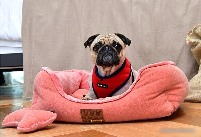 Лежак Puppia Presley PARD-AU1587-OR-FR (розовый)