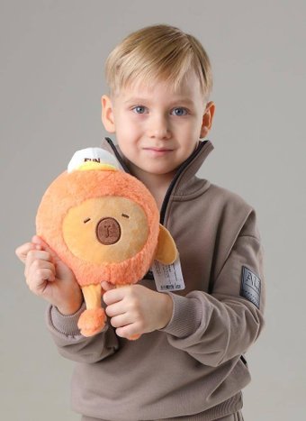 Классическая игрушка ILikeGift Capybara fun 106-067