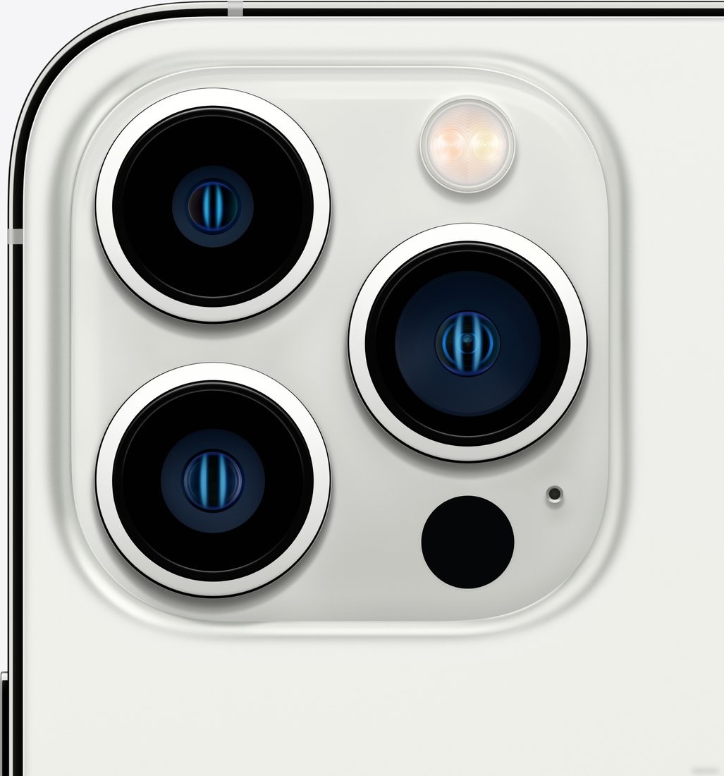 Телефон Apple iPhone 13 Pro 256GB (серебристый)
