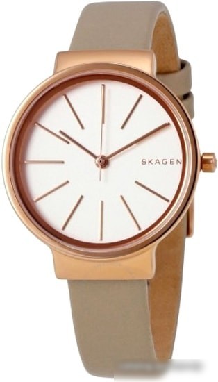 Наручные часы Skagen SKW2481