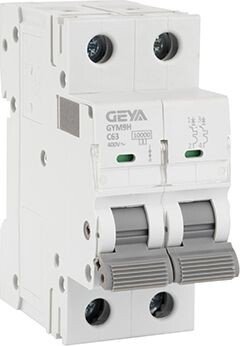 Выключатель автоматический GEYA GYM9H-2P-63C 2P 63A C 10kA 2M GYM9H2P63C