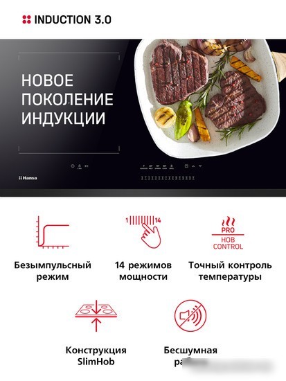 Варочная панель Hansa BHI67116
