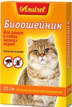 Ошейник Amstrel для кошек и мелких пород собак (оранжевый)
