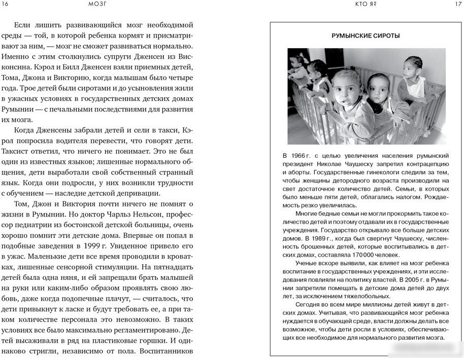Книга издательства КоЛибри. Мозг. Ваша личная история (Иглмен Д.)