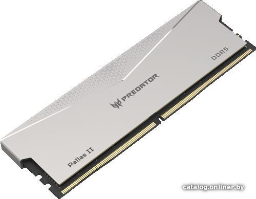Оперативная память Acer Predator Pallas II 2x32ГБ DDR5 6000 МГц BL.9BWWR.352