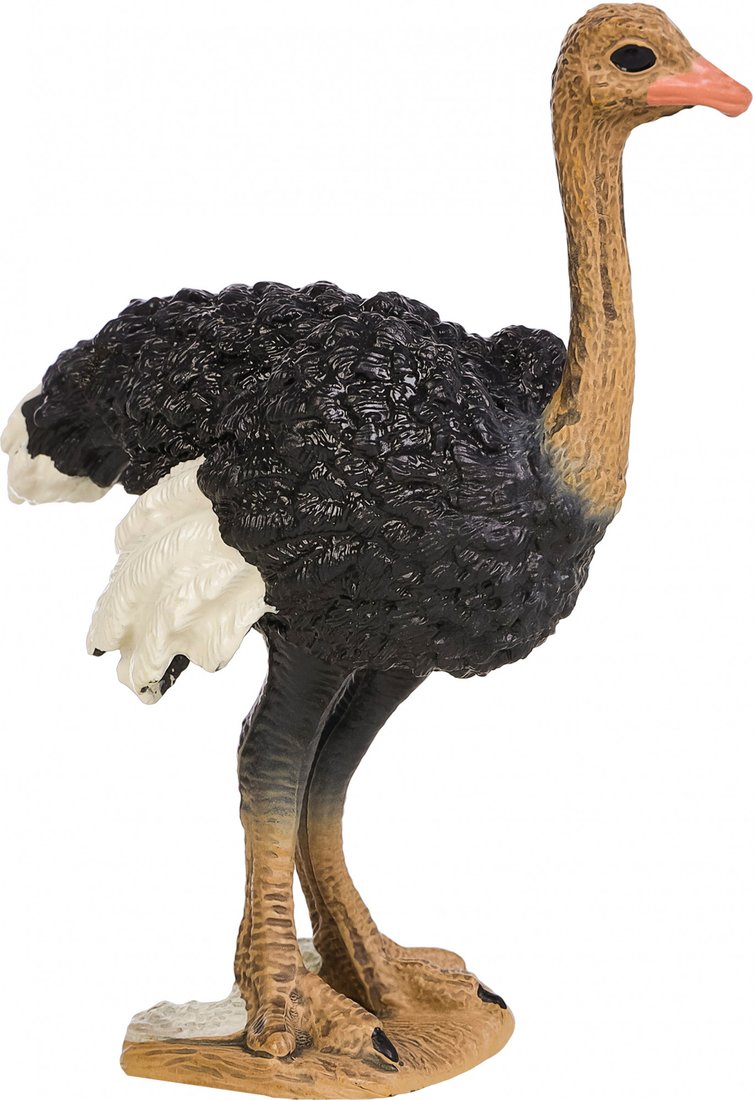 Фигурка Masai Mara Мир диких животных. Птица страус MM211-157