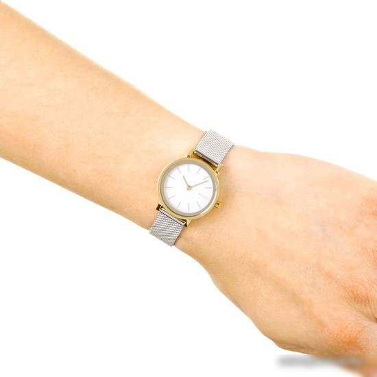 Наручные часы Skagen SKW2445